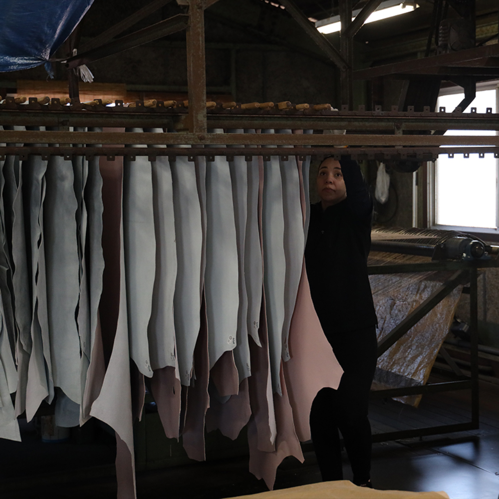 セクション画像1