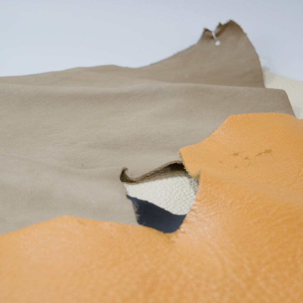 セクション画像2